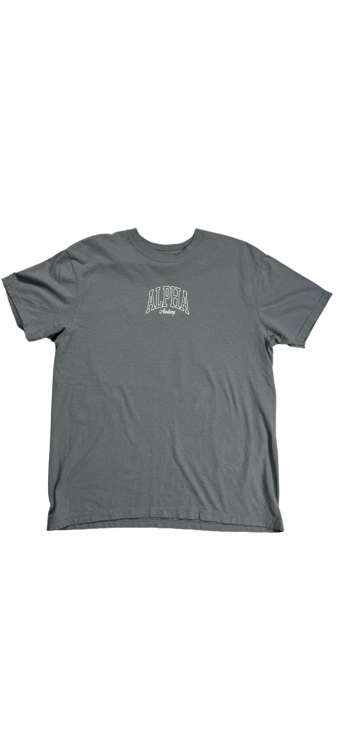 Alpha Breeze Grey T