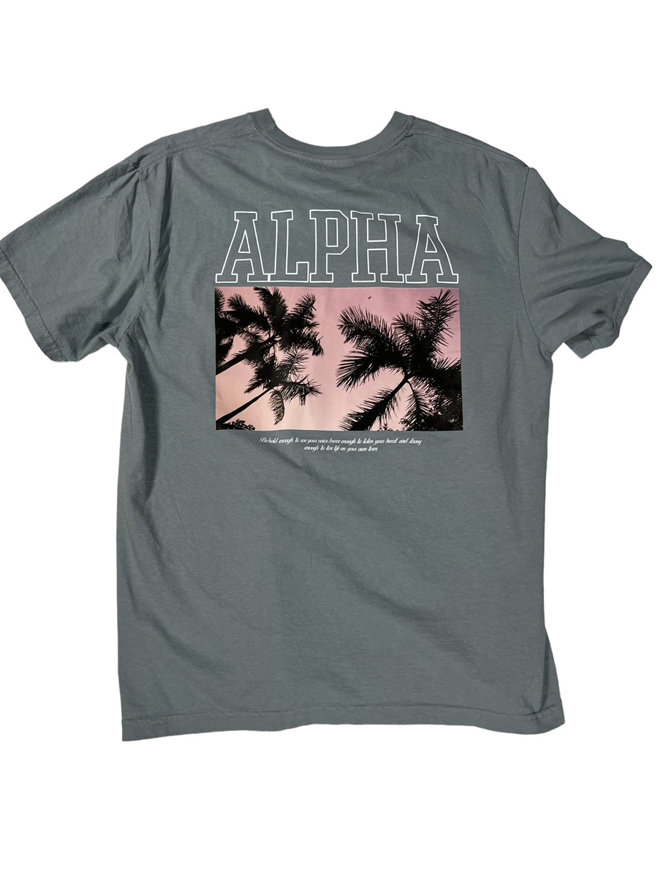 Alpha Breeze Grey T