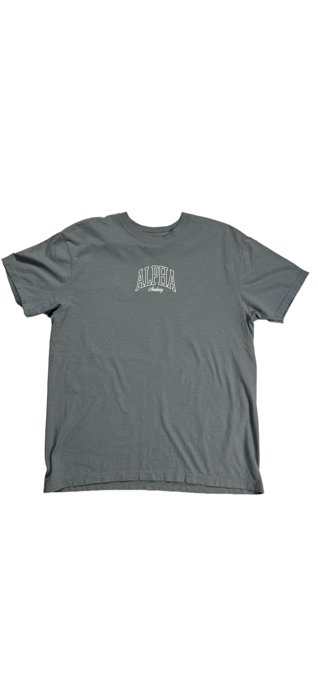 Alpha Breeze Grey T