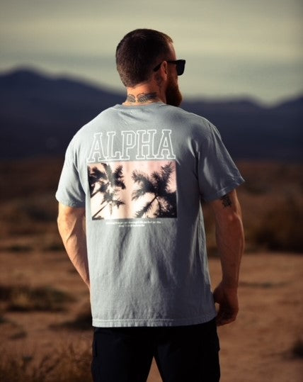 Alpha Breeze Grey T